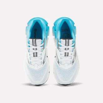 FloatZig 2 Laufschuhe für Herren
