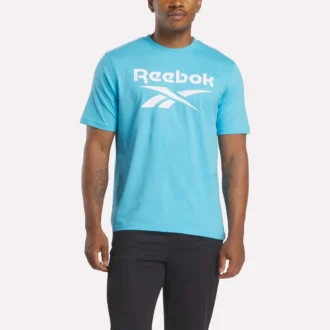 Herren-T-Shirt mit großem Logo und Rundhalsausschnitt