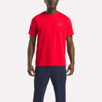 Herren-T-Shirt mit kleinem Logo, Rundhalsausschnitt und kurzen Ärmeln