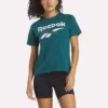 Zweifarbiges Damen-T-Shirt mit Rundhalsausschnitt und Logo